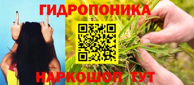 СК Кунгур