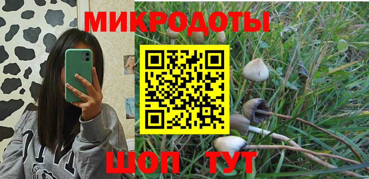 Псилоцибиновые грибы ЛСД Волжск